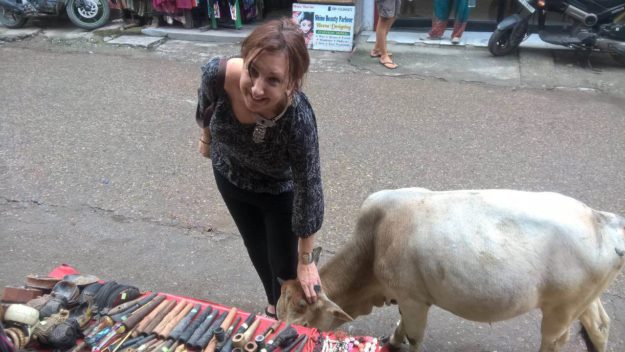 Young Cow in Rishikesh