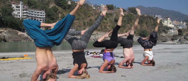 Yoga students practicing
