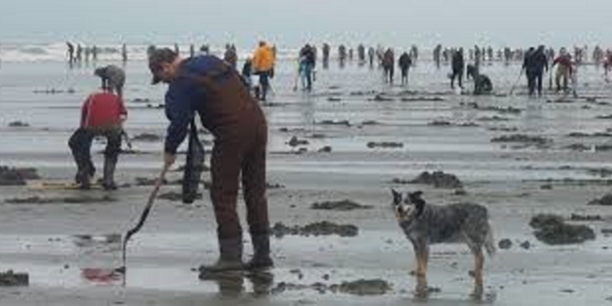 Must Have Gear for Razor Clamming 