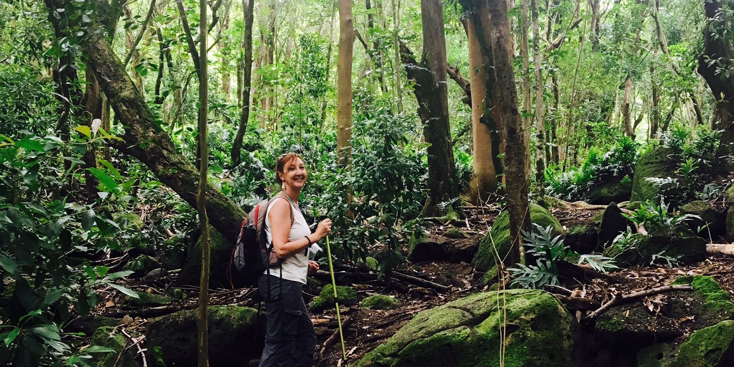 The rain forest of Kauai