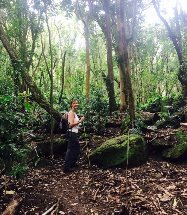 The rain forest of Kauai