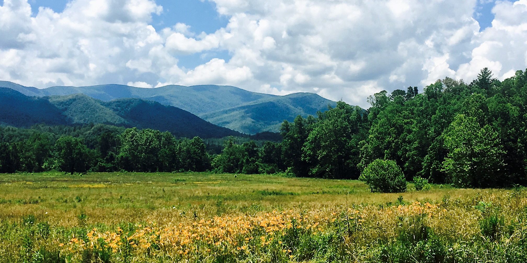 The Great Smokey Mountains