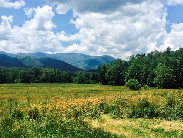 The Great Smokey Mountains