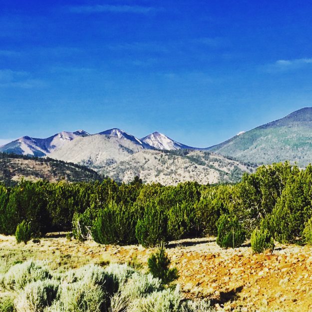Near Flagstaff Arizona
