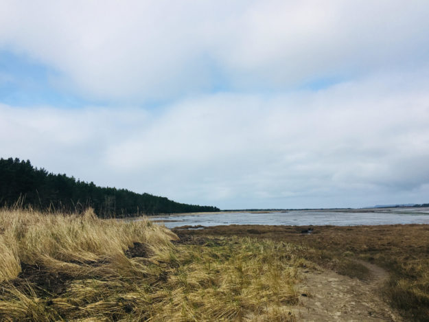 Leadbetter State Park