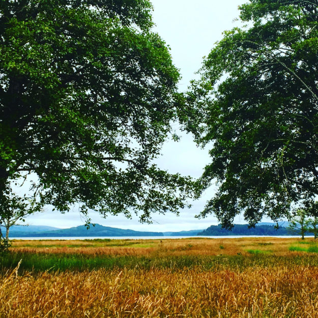 Willapa Bay in Oysterville, Washington