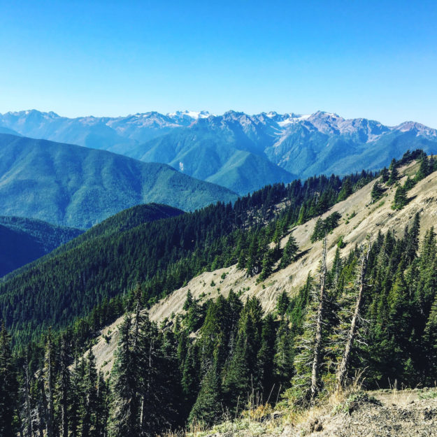 The view from Hurrican Ridge in Olympic National Park